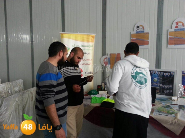 7era2 kotrye (1).JPG